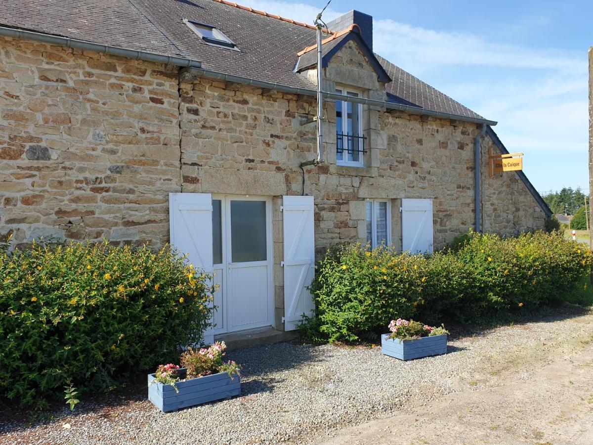 Charming Traditional 2-Bed Cottage Near Plémet Eksteriør billede